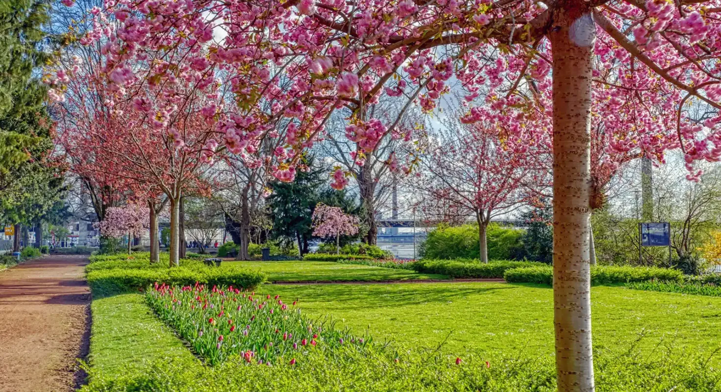 Freie gemeinnützige Beratungsstelle für Psychotherapie e.V. -Betreutes Wohnen in Golzheim. Foto vom Rheinpark.