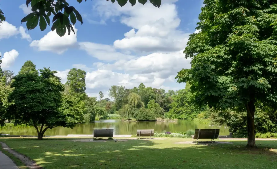 BFP-Betreutes-Wohnen-Zoopark-1800x1100-Pixel